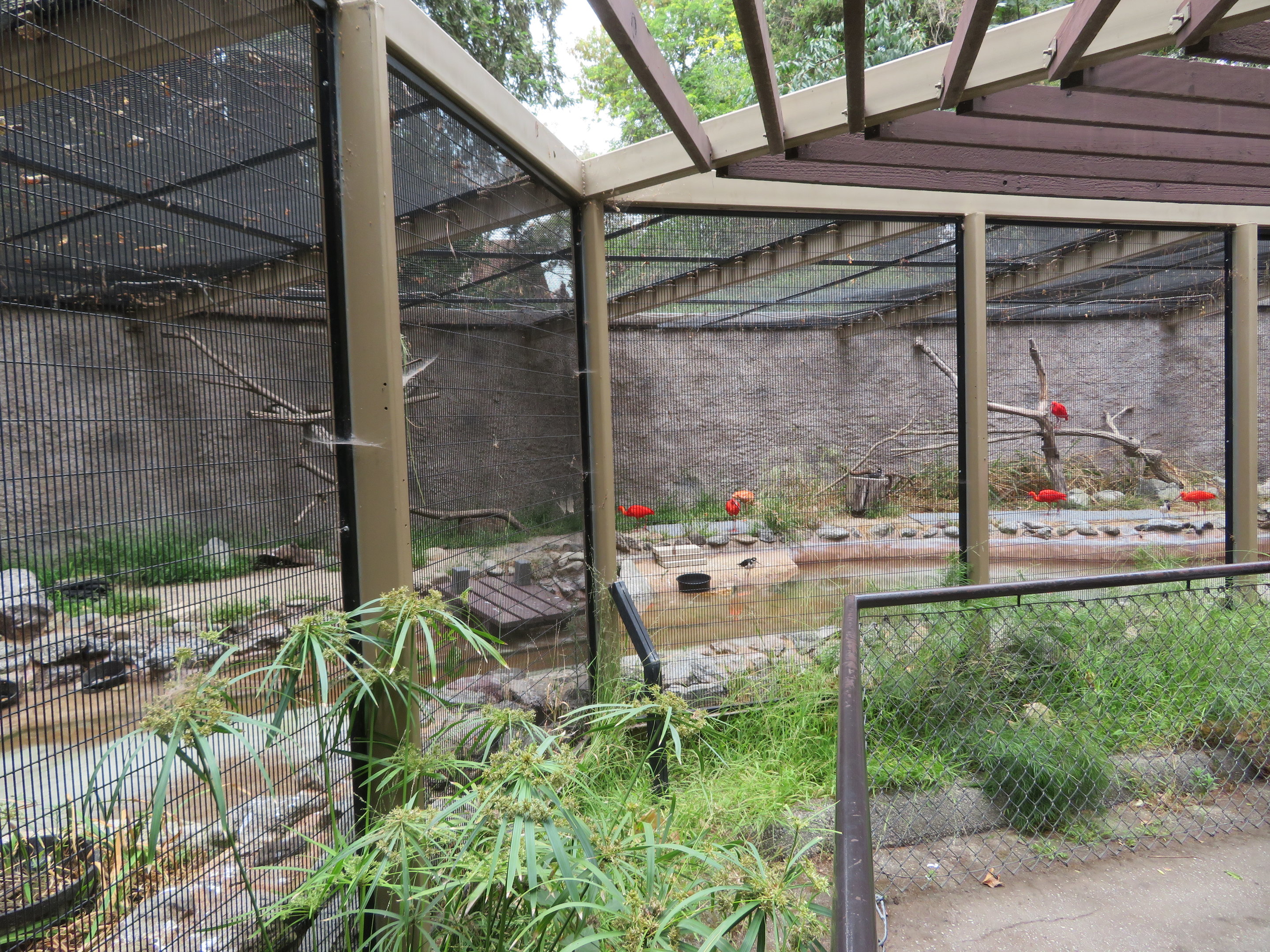 Mixed Aquatic Bird Exhibit