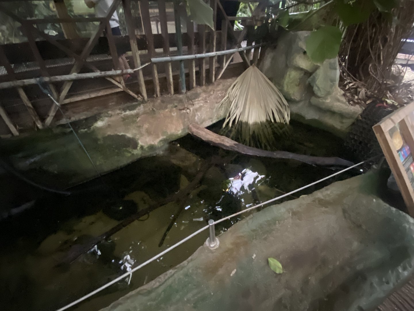 Mixed aquatic exhibit 050924