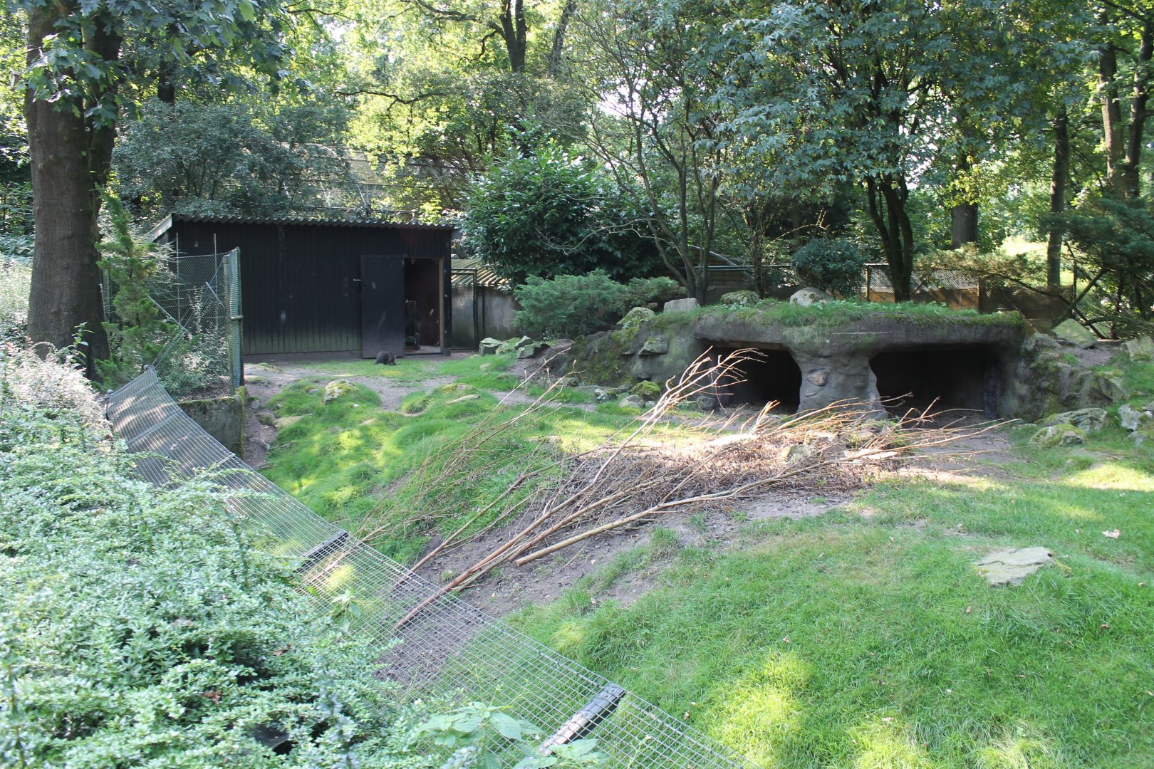 Mixed Australian enclosure