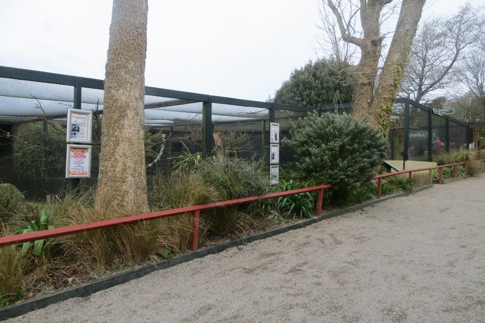 Mixed aviaries 190219