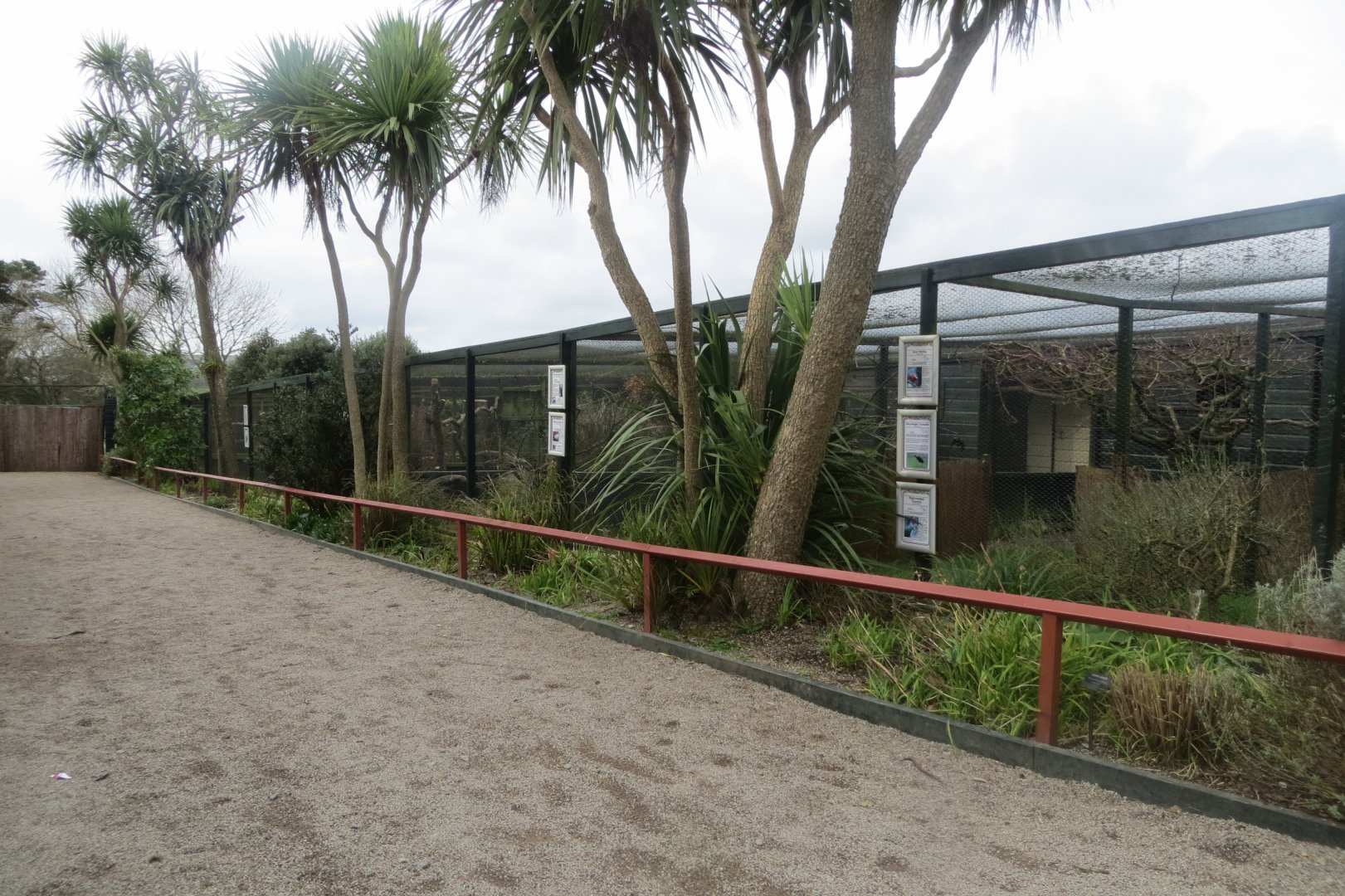 Mixed aviaries 190219