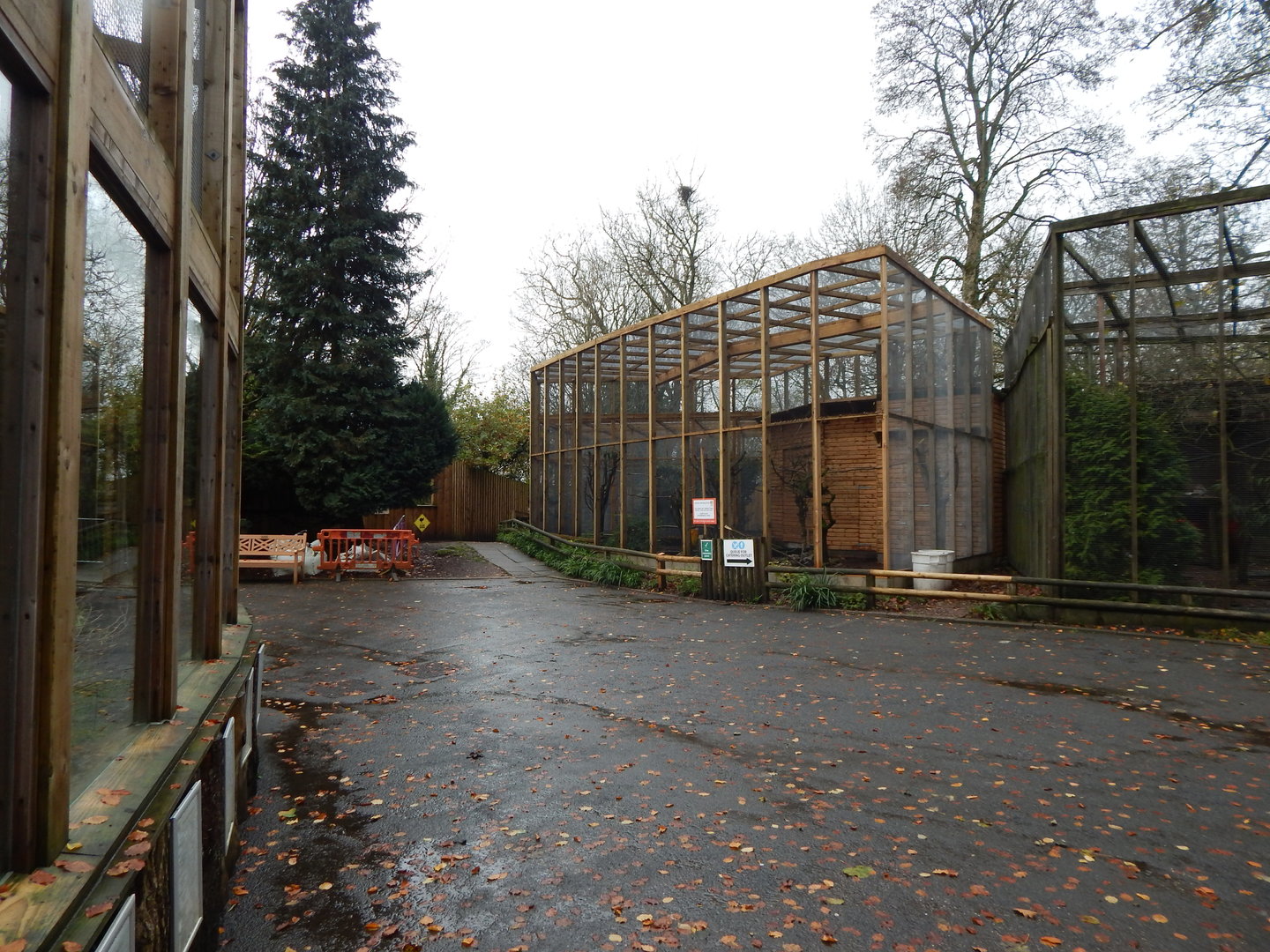 Mixed aviaries 241122