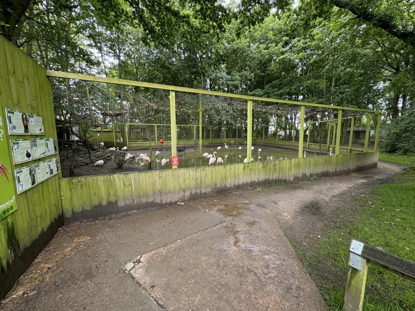 Mixed Aviary at Bridlington Animal Park (July 2024)