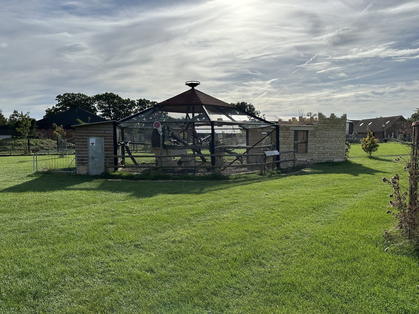 Mixed Aviary at Johnsons of Old Hurst (October 2023)