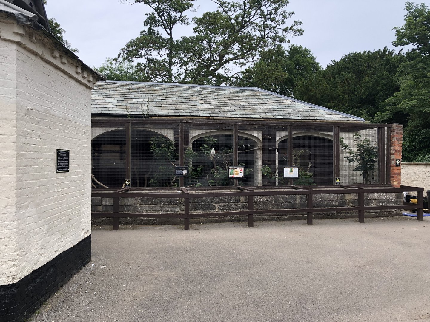 Mixed Aviary at Sewerby Zoo (June 2023)