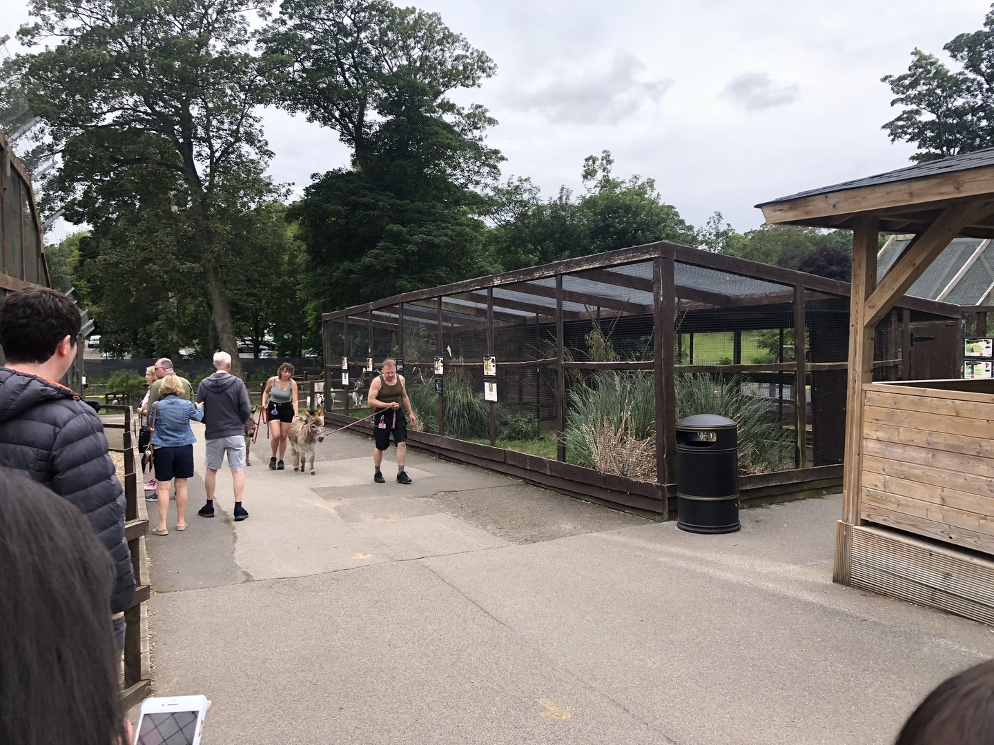Mixed Aviary at Sewerby Zoo (June 2023)