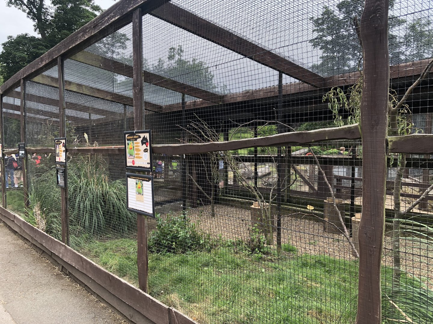 Mixed Aviary at Sewerby Zoo (June 2023)