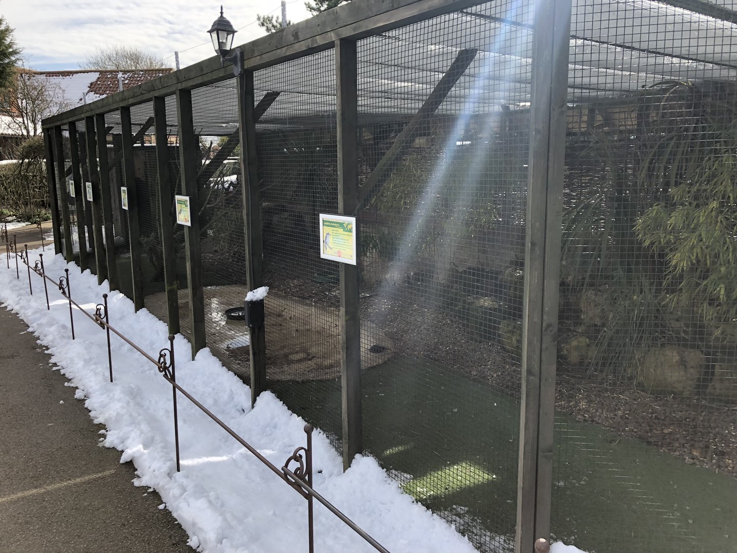 Mixed Aviary at Tropical Butterfly House (March 2023)