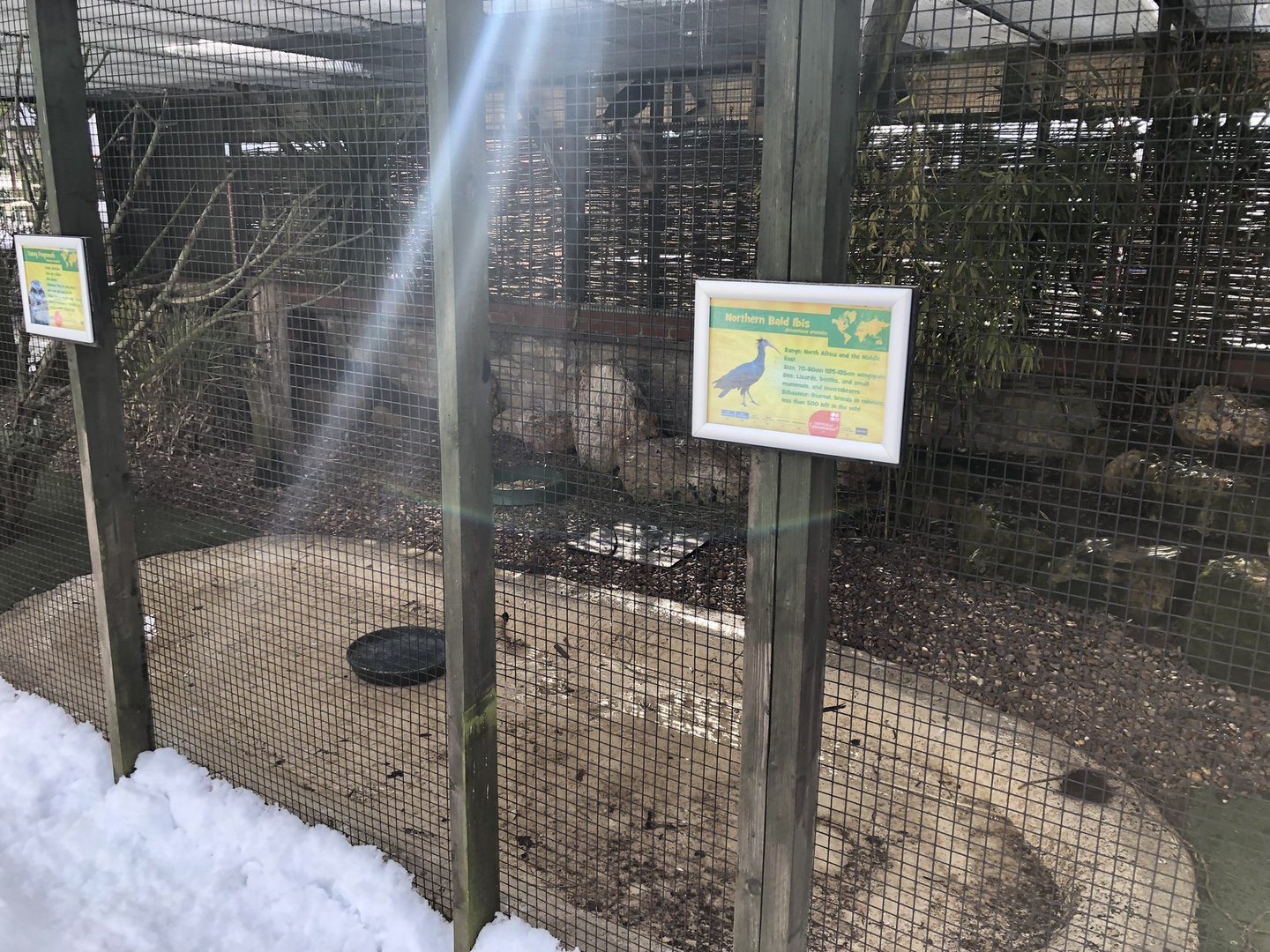 Mixed Aviary at Tropical Butterfly House (March 2023)