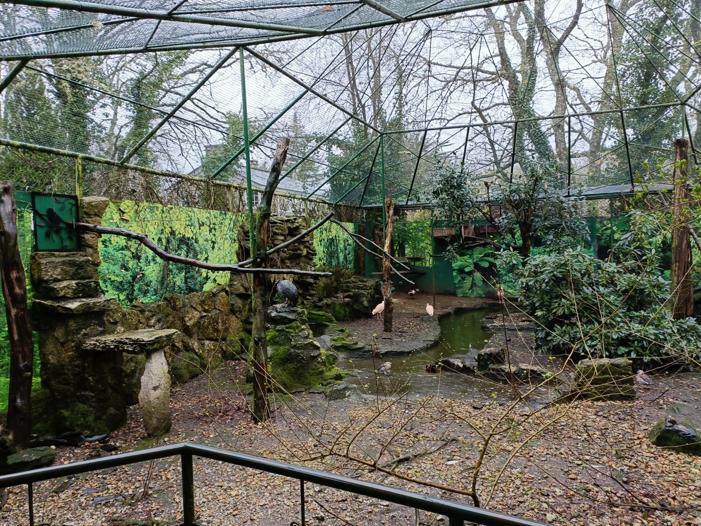 Mixed aviary - Avifauna Lugo