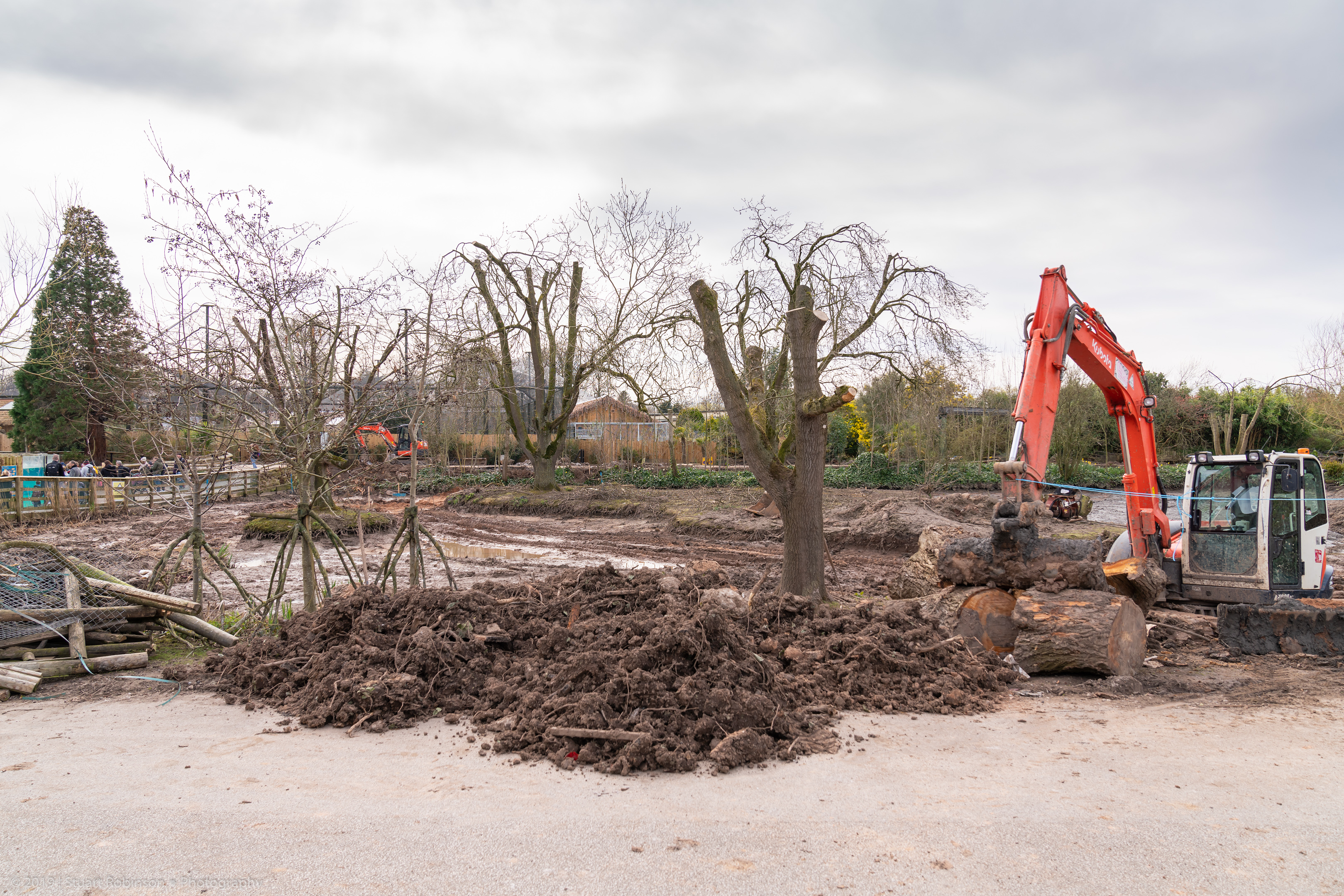 Mixed Aviary Construction - 21/03/2020
