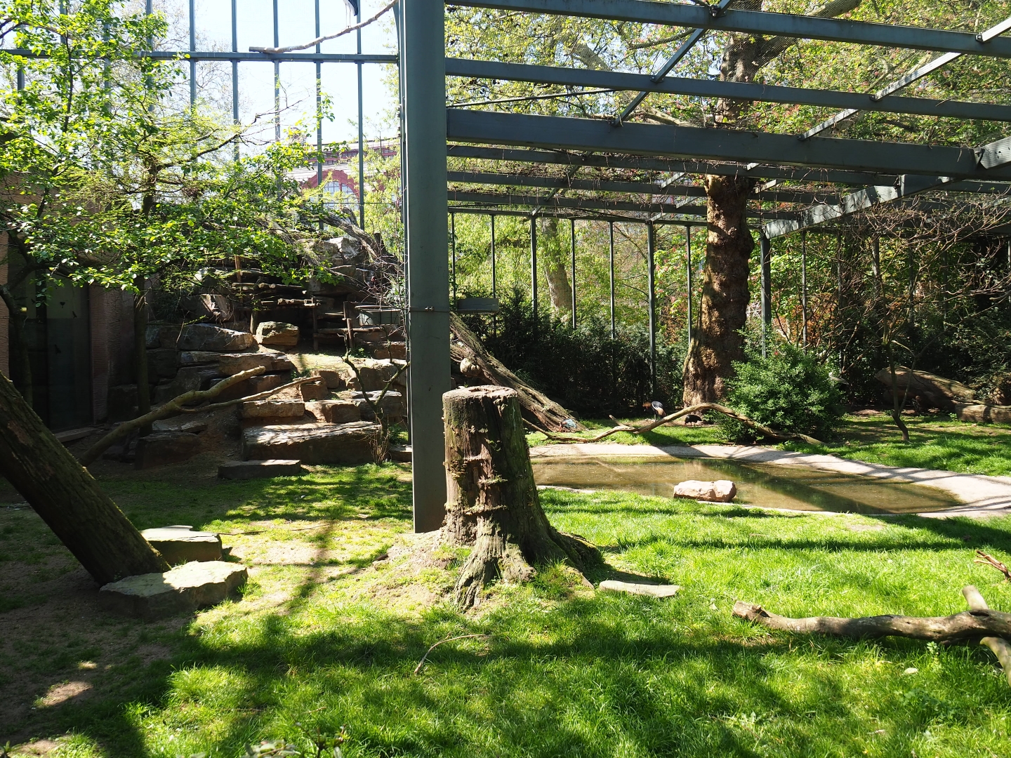Mixed aviary next to and on top of the hippopotamus house, 2019-04-20