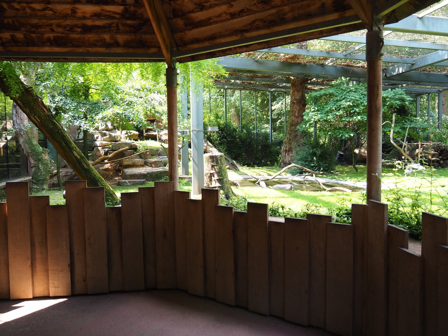 Mixed aviary next to and on top of the hippopotamus house, ground level viewing area -  2019