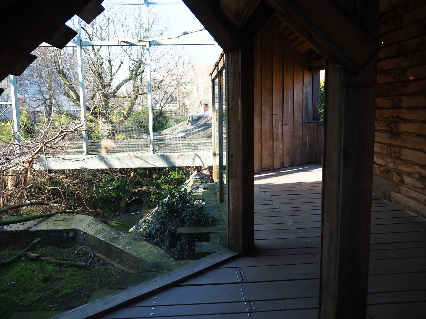 Mixed aviary next to and on top of the hippopotamus house, top level viewing area -  2019