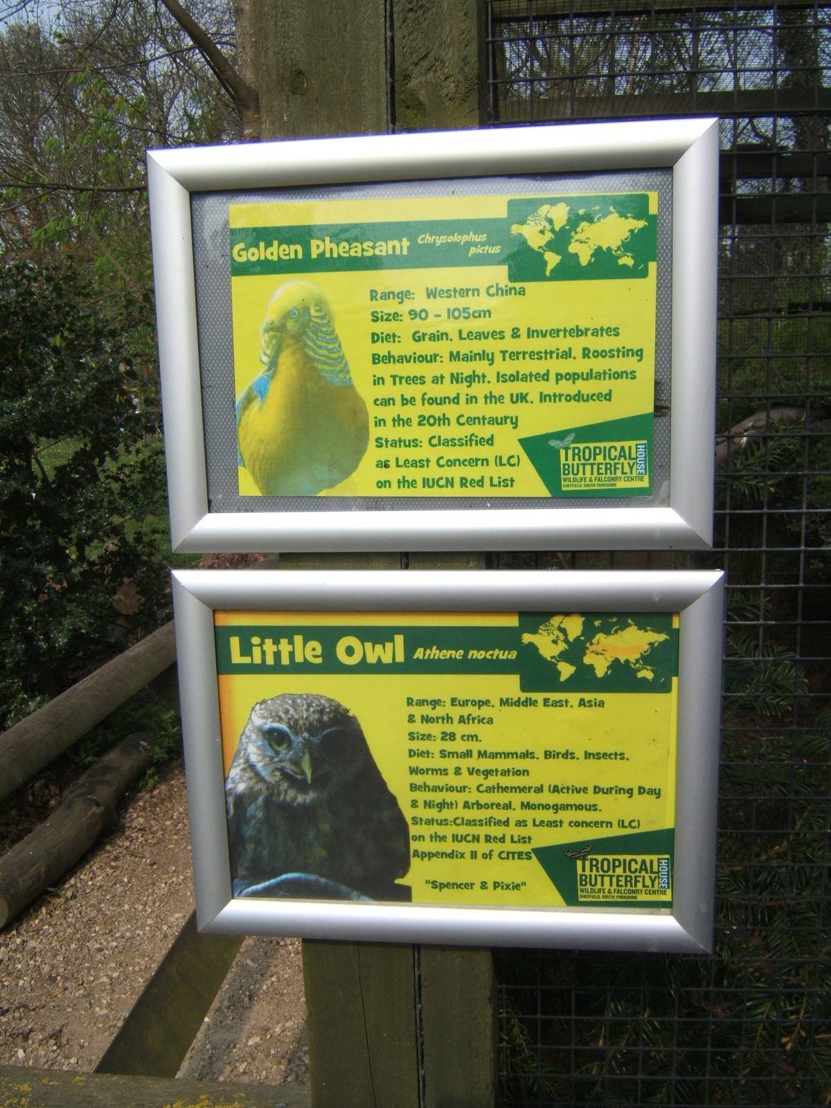 Mixed Aviary signage