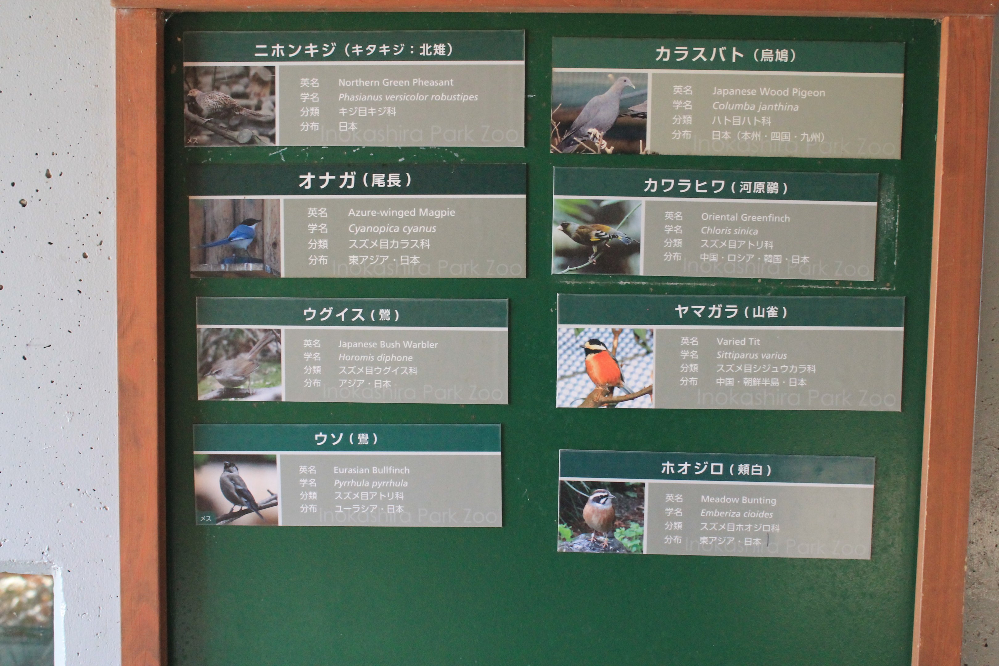 Mixed aviary signage