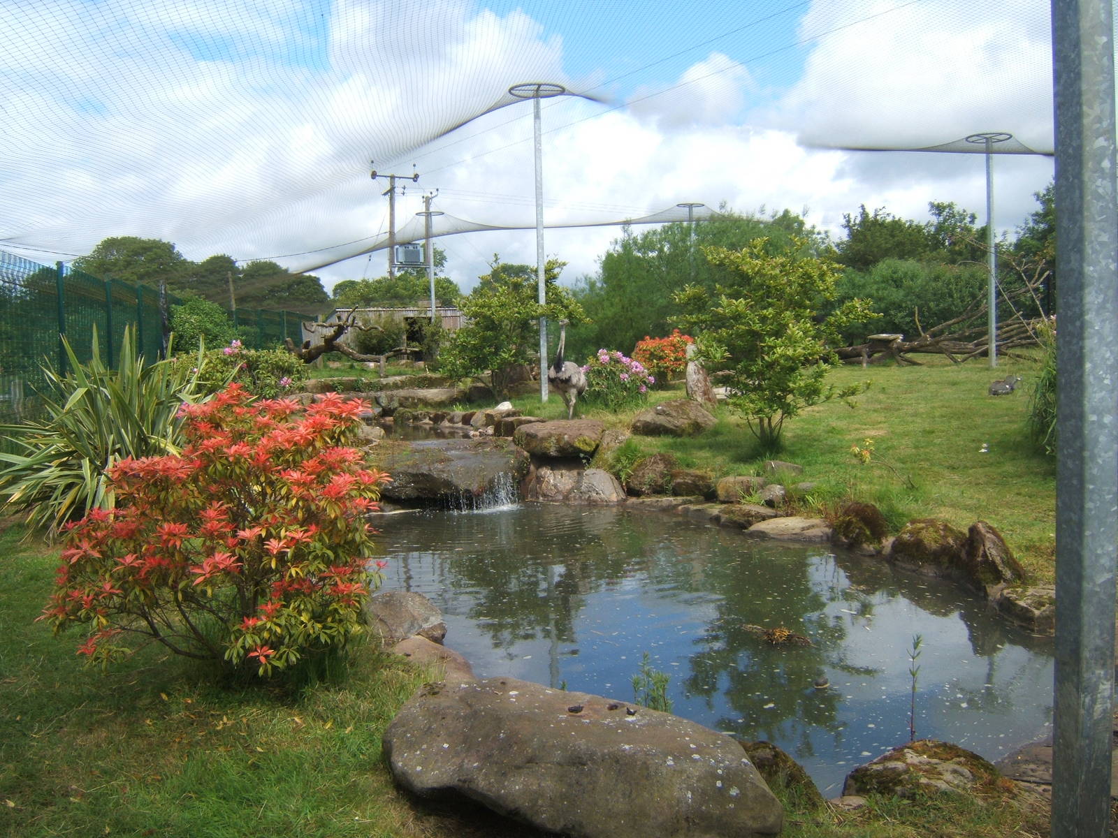 Mixed Aviary,this used to be the Pink Aviary