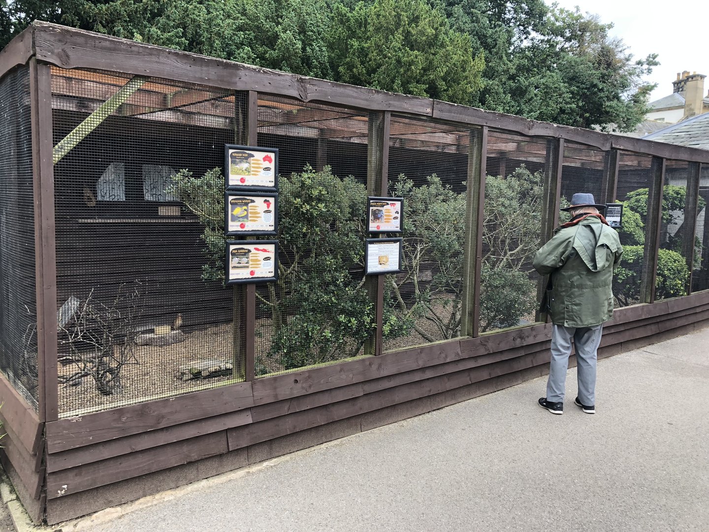 Mixed Aviary/Tortoise Enclosure at Sewerby Zoo (June 2023)