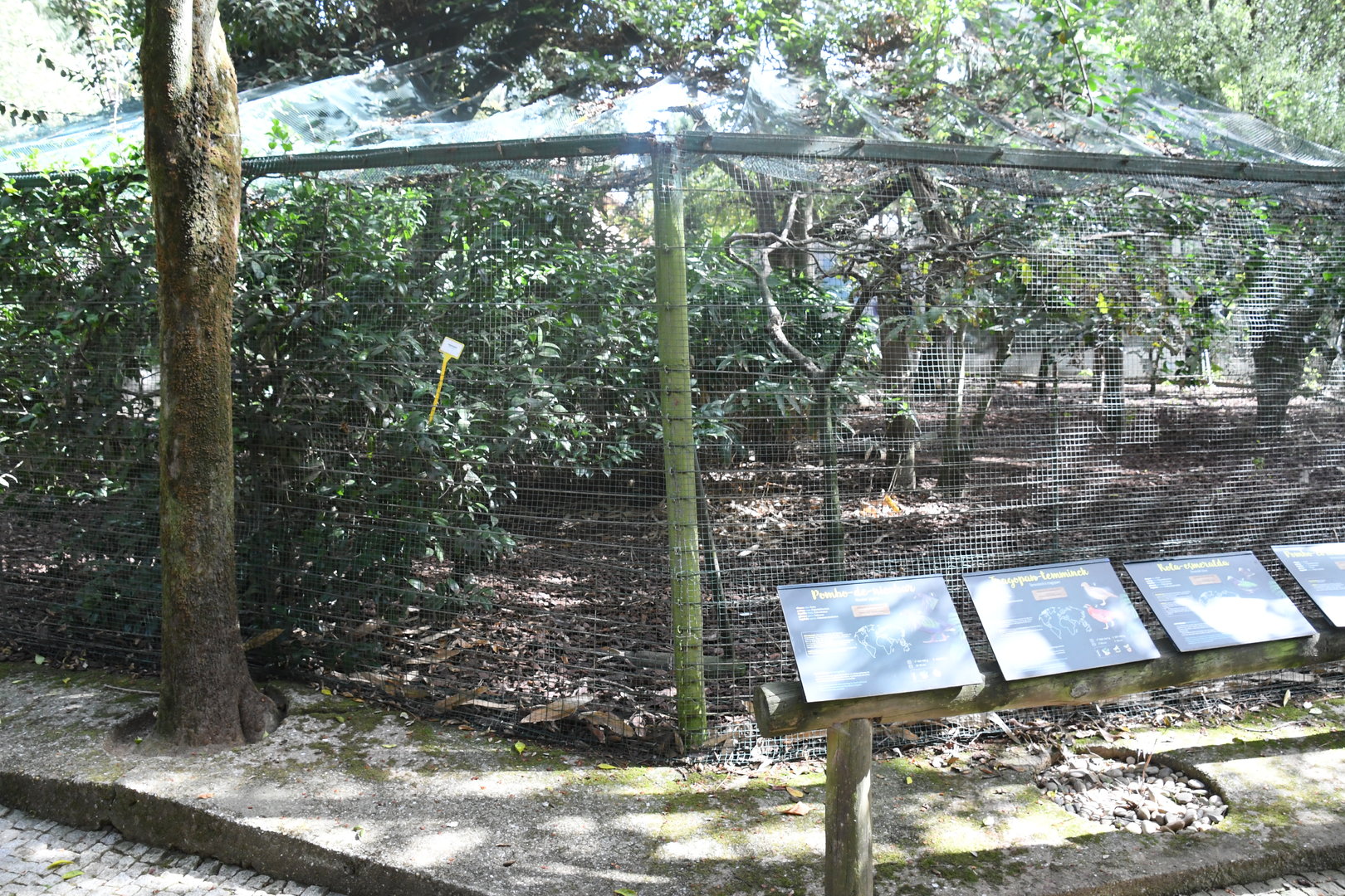 Mixed Aviary (Zoo Lourosa)