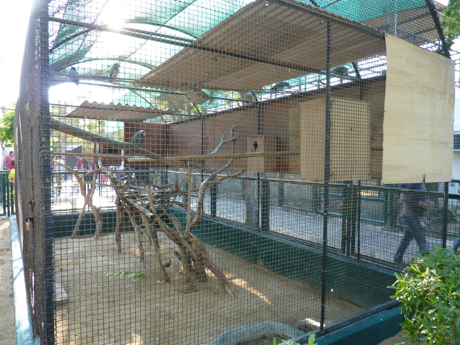 Mixed aviary