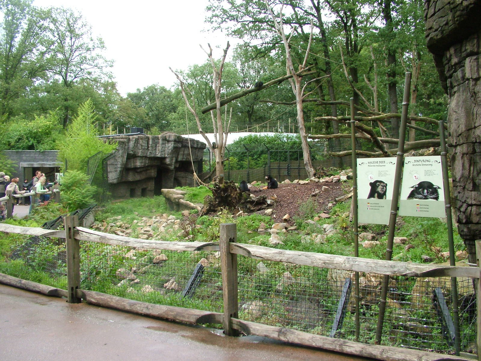Mixed Bear and Binturong Exhibit in Burgers Rimba at Burgers Zoo Arnhem, 29
