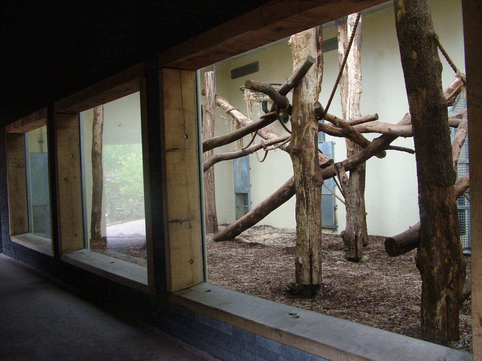 Mixed Bear and Binturong Exhibit in Burgers Rimba at Burgers Zoo Arnhem, 29