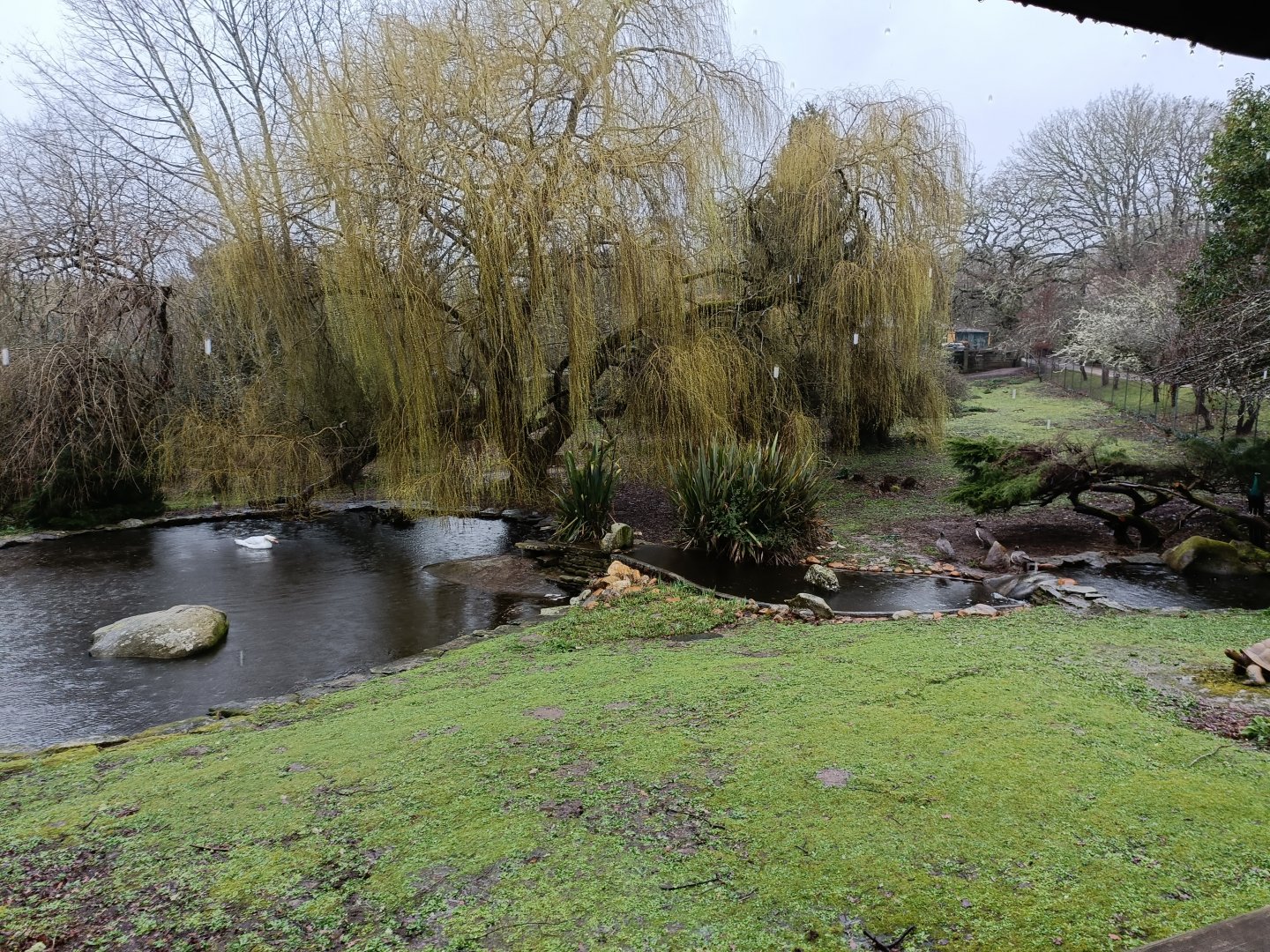 Mixed bird exhibit -Marcelle Naturaleza