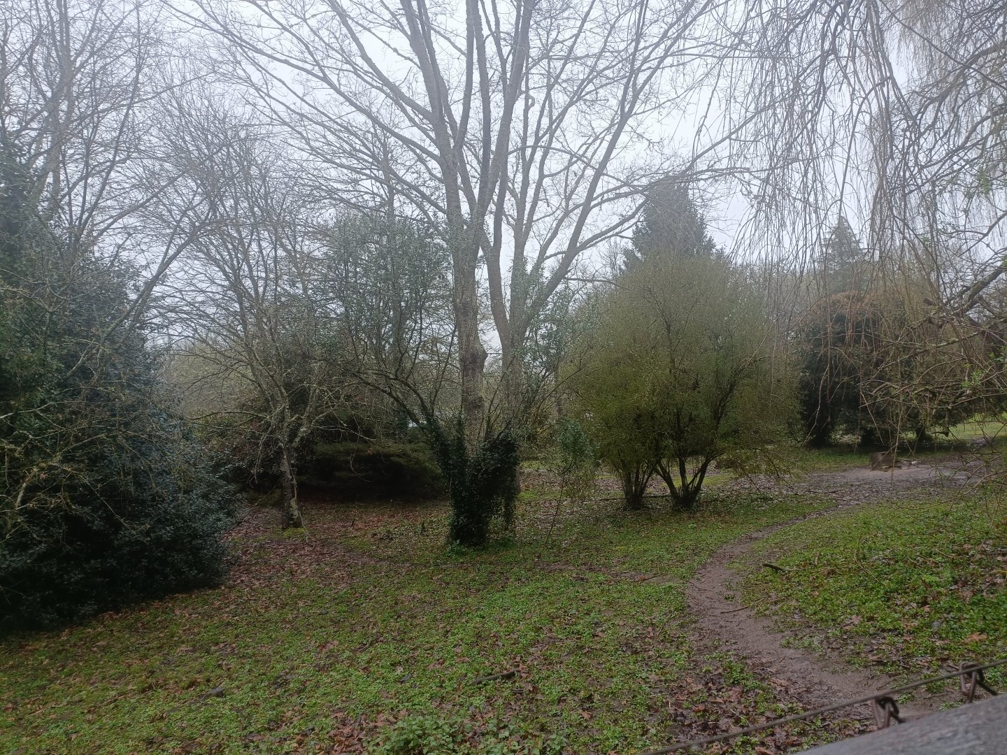 Mixed bird exhibit -Marcelle Naturaleza