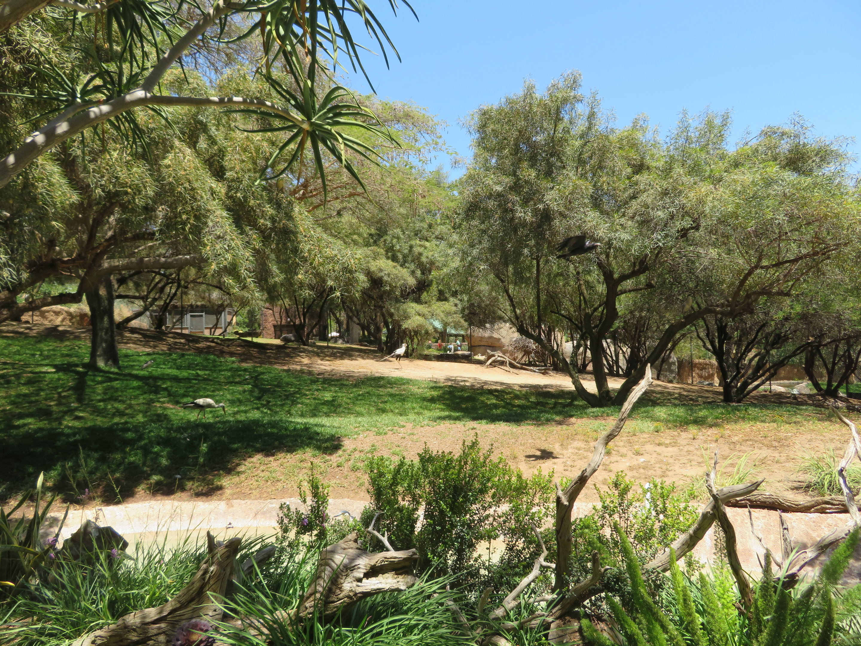 Mixed Bird/Hoofstock Exhibit