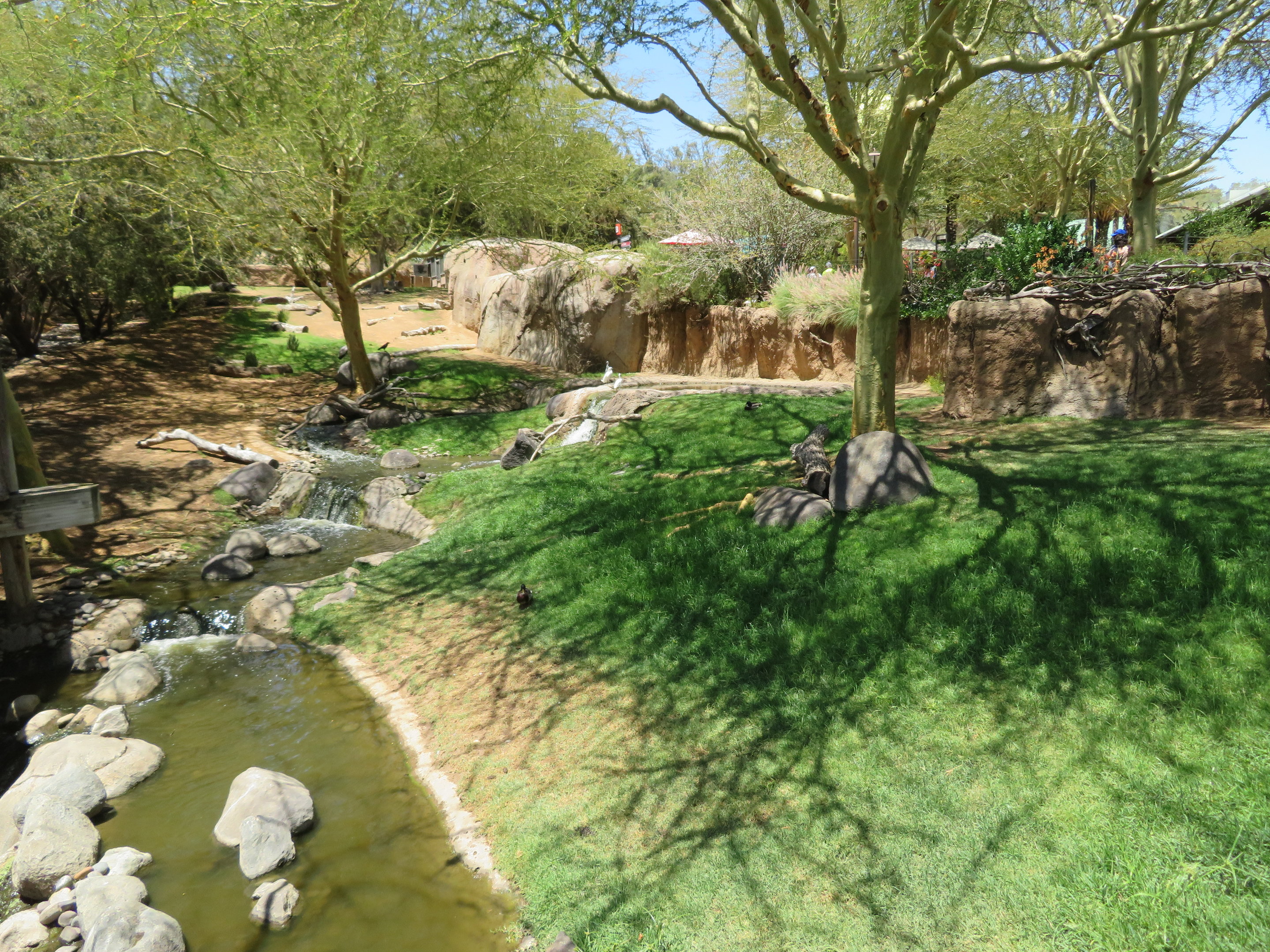 Mixed Bird/Hoofstock Exhibit