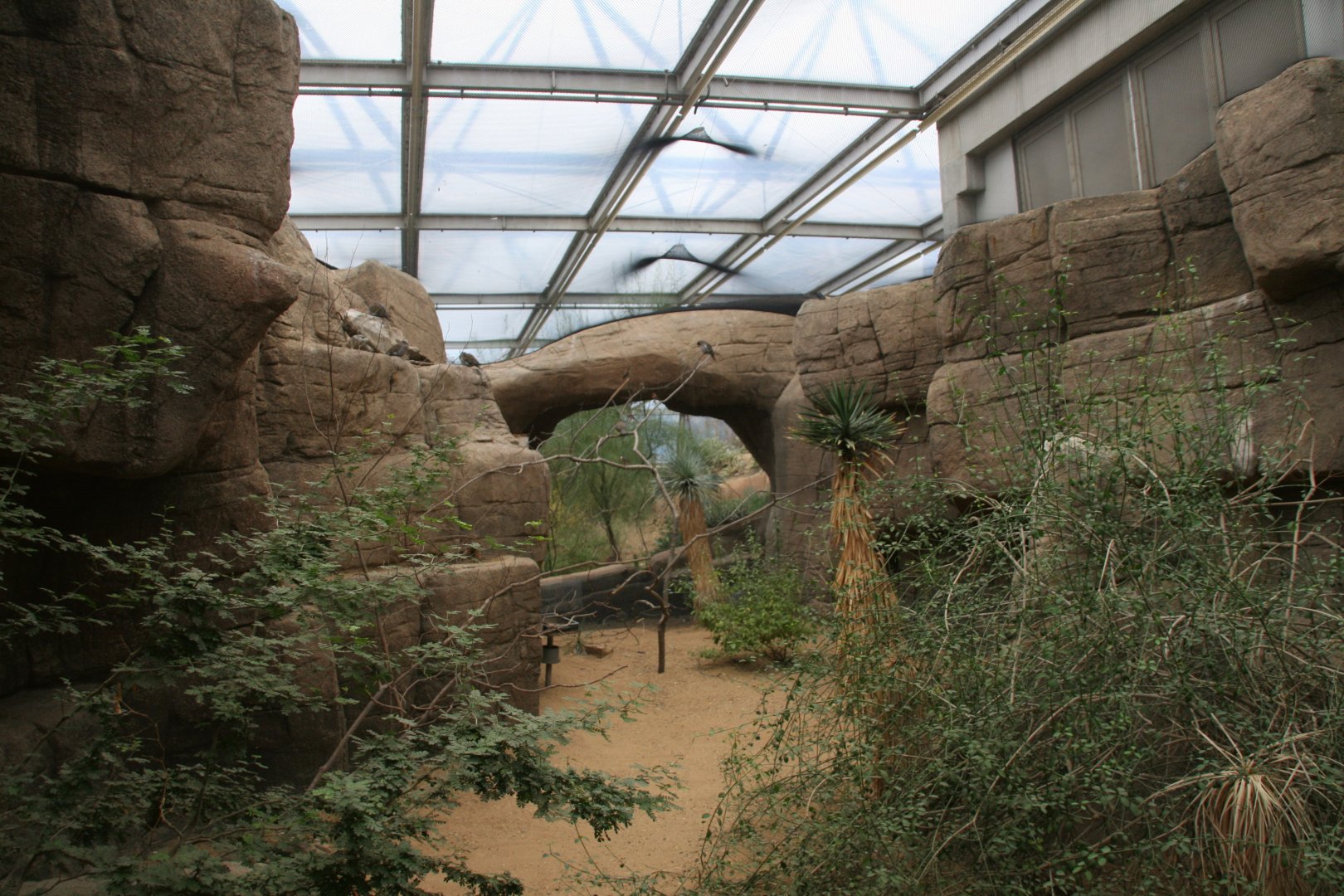 mixed bird species enclosure