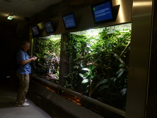 Mixed chameleon enclosures