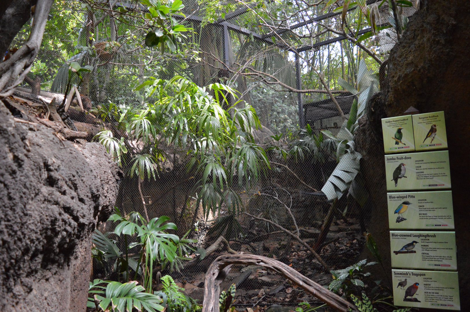 Mixed continental aviary