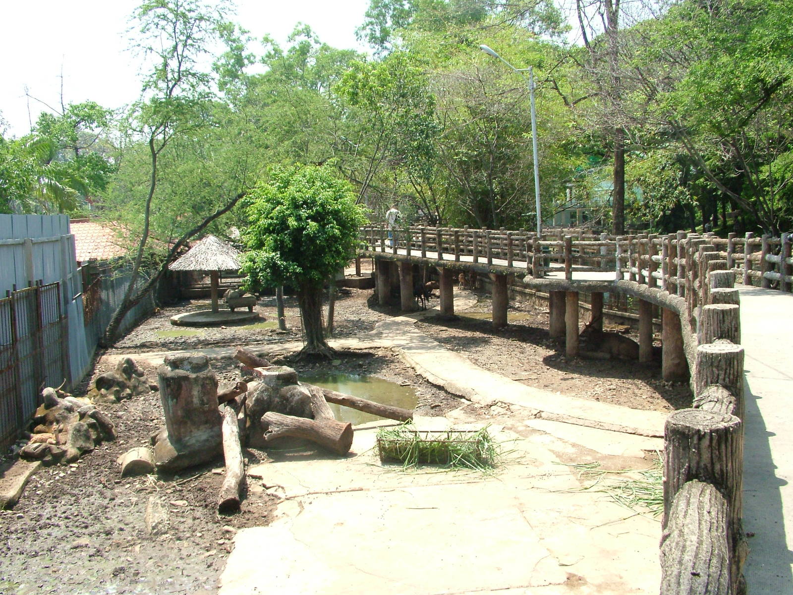 Mixed Deer Paddock at Saigon Zoo, 16/03/12