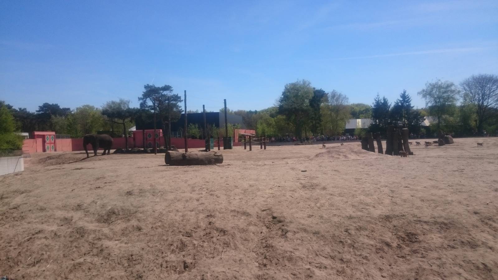 Mixed Elephant and Baboon enclosure