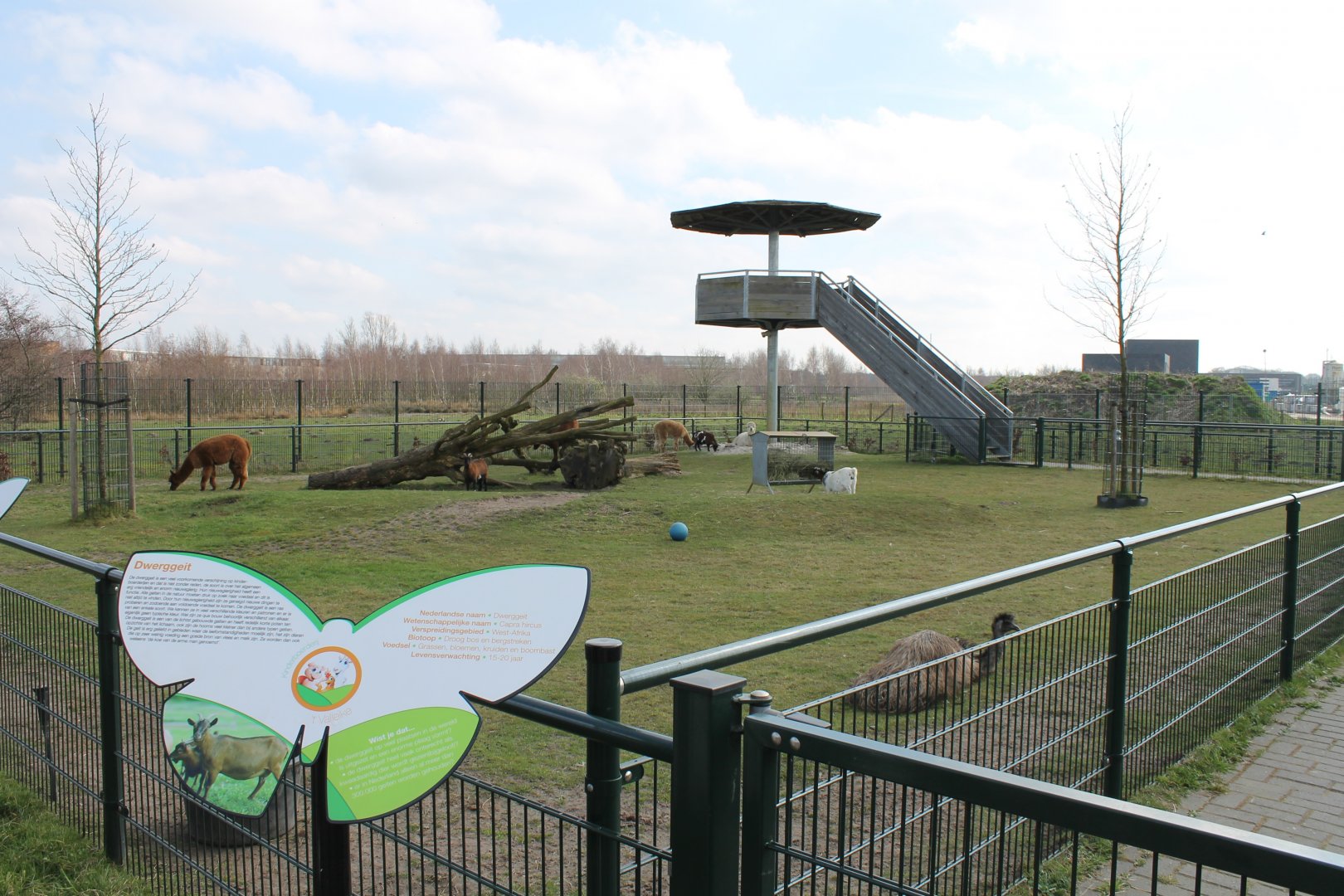 Mixed enclorure with viewing-tower