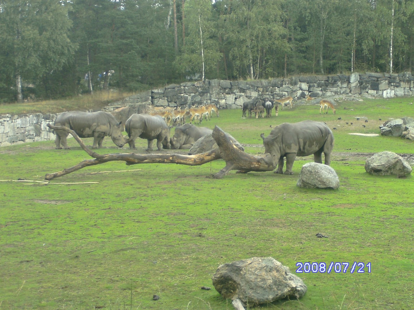 Mixed enclosure (2008)