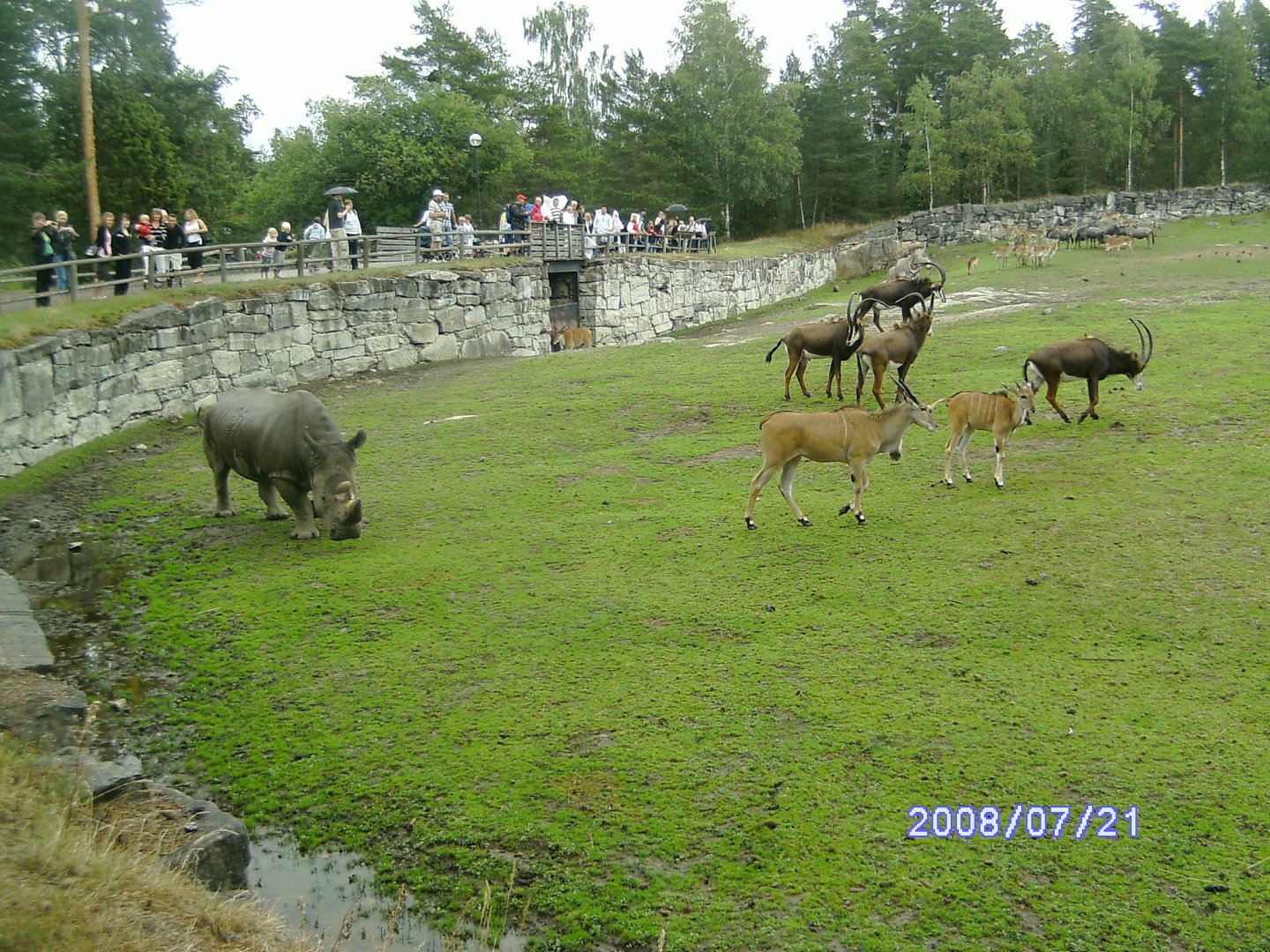 Mixed enclosure (2008)