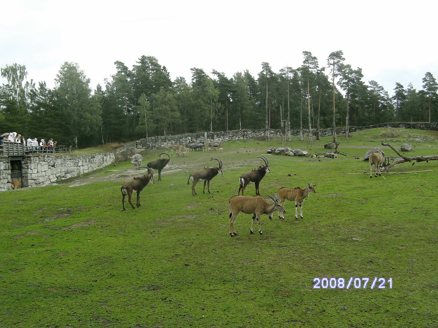 Mixed enclosure (2008)