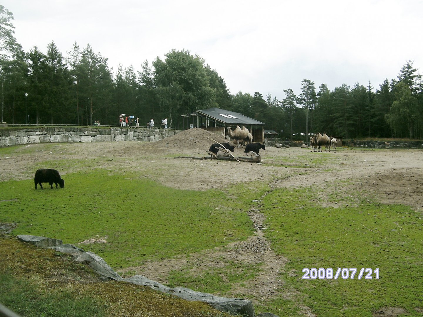 Mixed enclosure (2008)