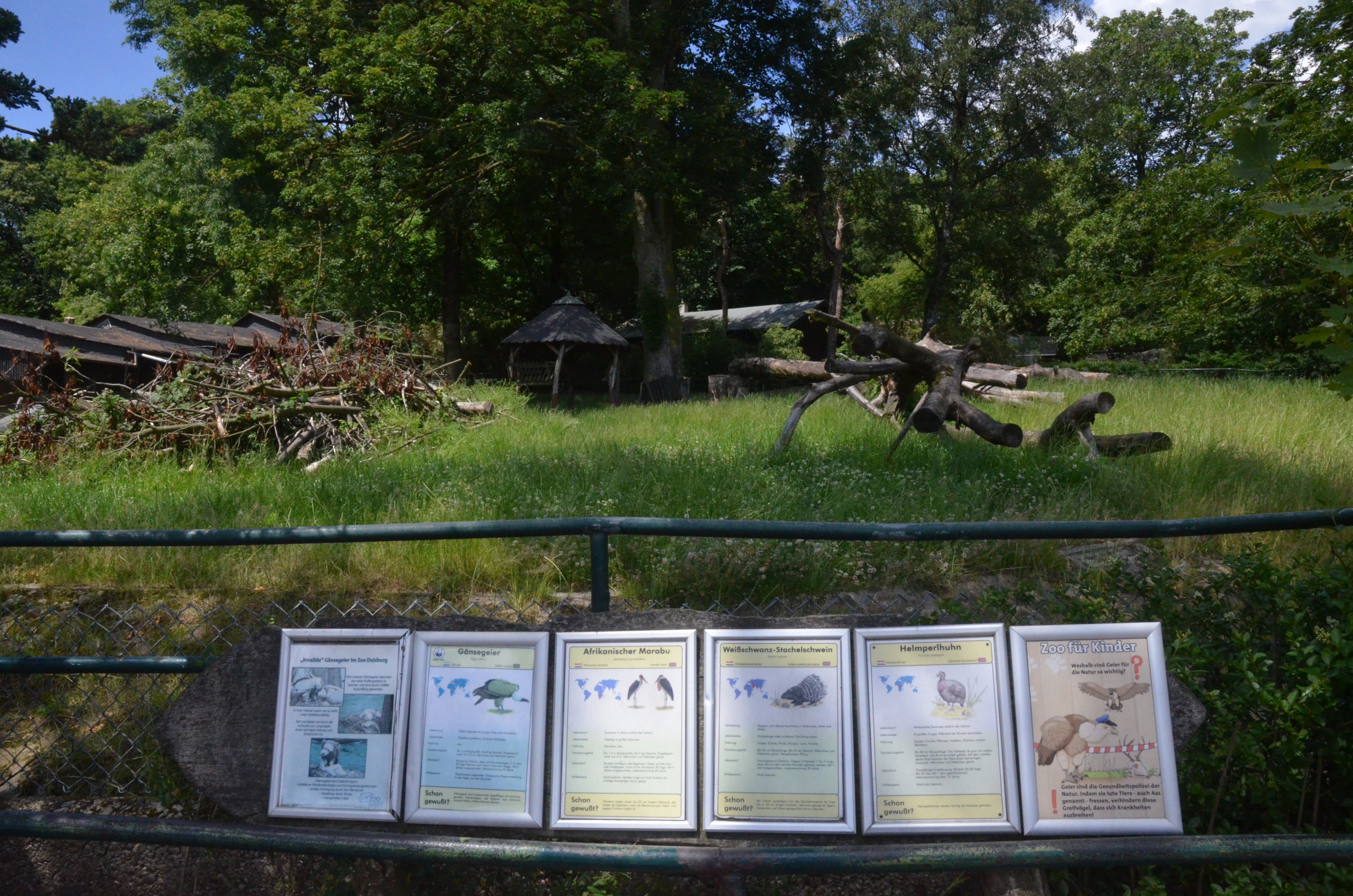 Mixed Enclosure and Signage at Duisburg, 17/06/19