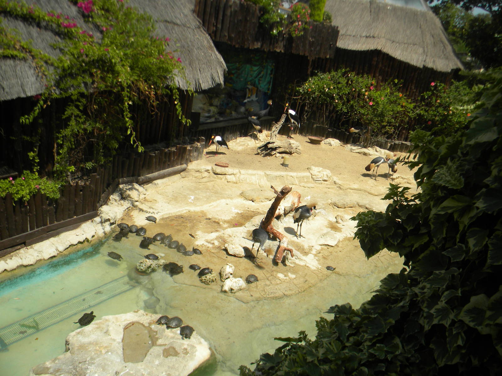 Mixed enclosure at Mundo Mar 01/08/11