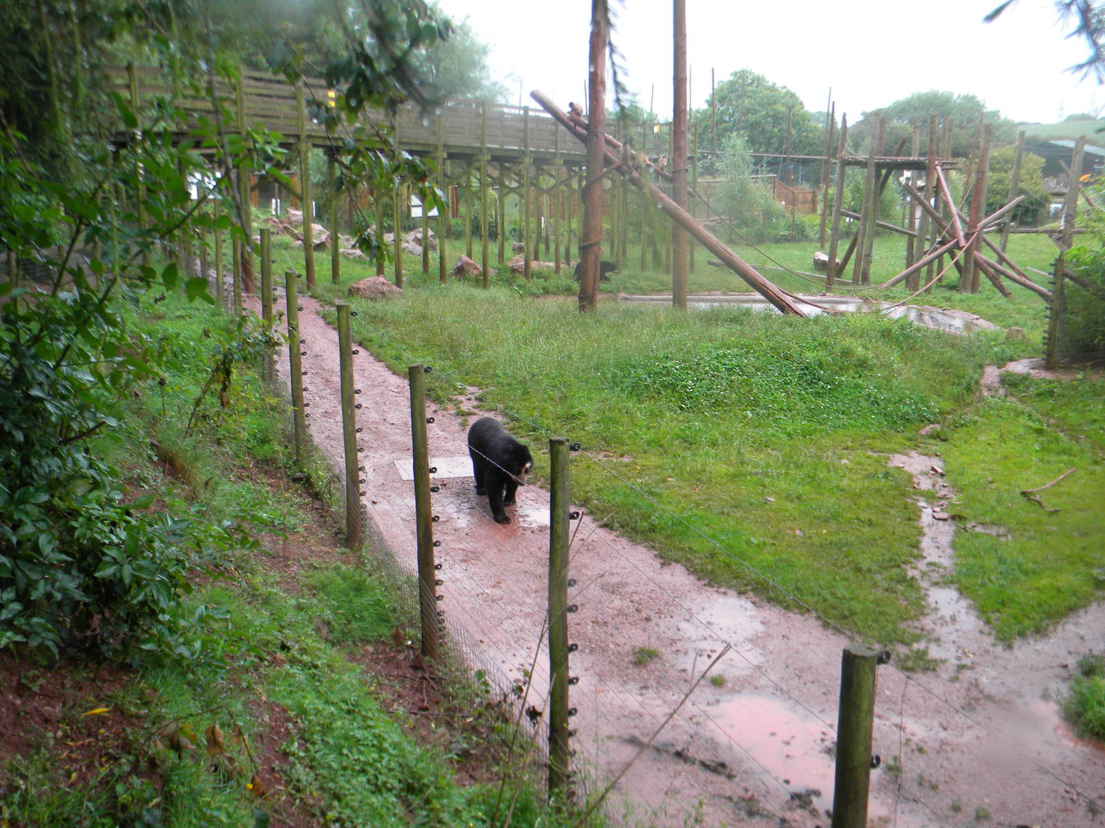 Mixed enclosure at SLWAP 16/07/11