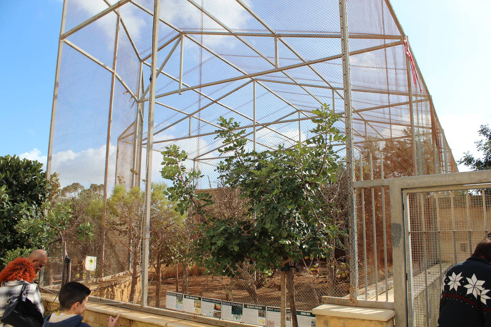 Mixed Enclosure/ Aviary - MonteKristo Animal Park, Malta