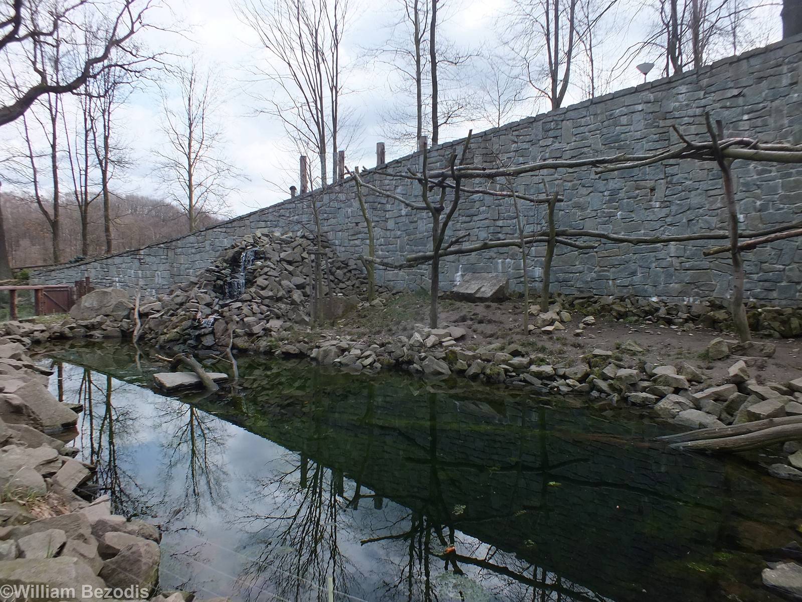 Mixed Enclosure for Asian Short-Clawed Otters and Binturongs