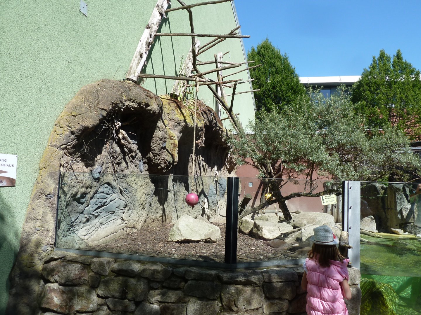 Mixed enclosure for Asiatic small-clawed otter and binturong