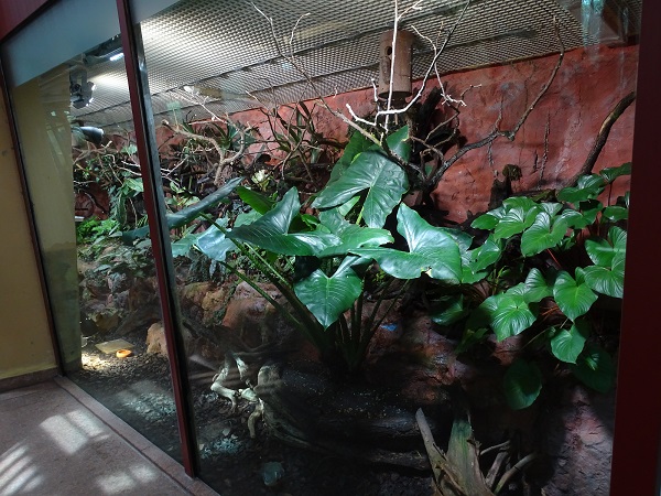 Mixed enclosure in the Cat House (04/22) (species list in description)