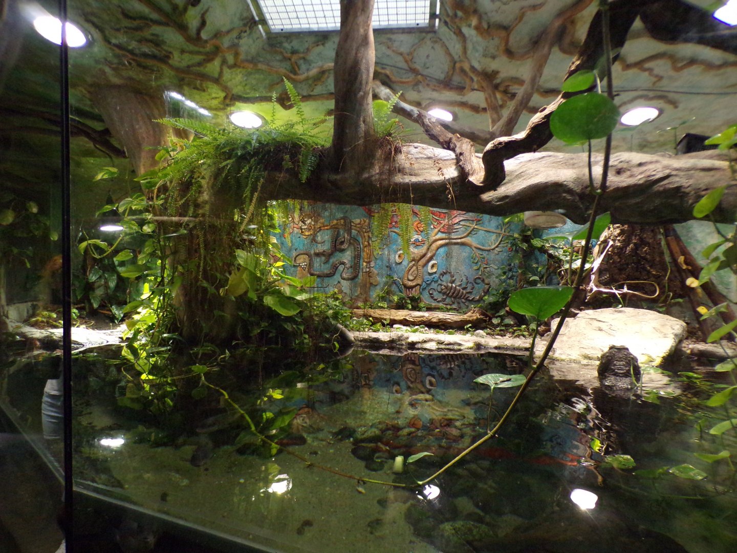 Mixed exhibit 13.7.25