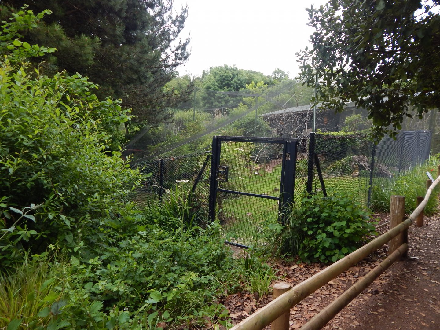 Mixed exhibit 130624