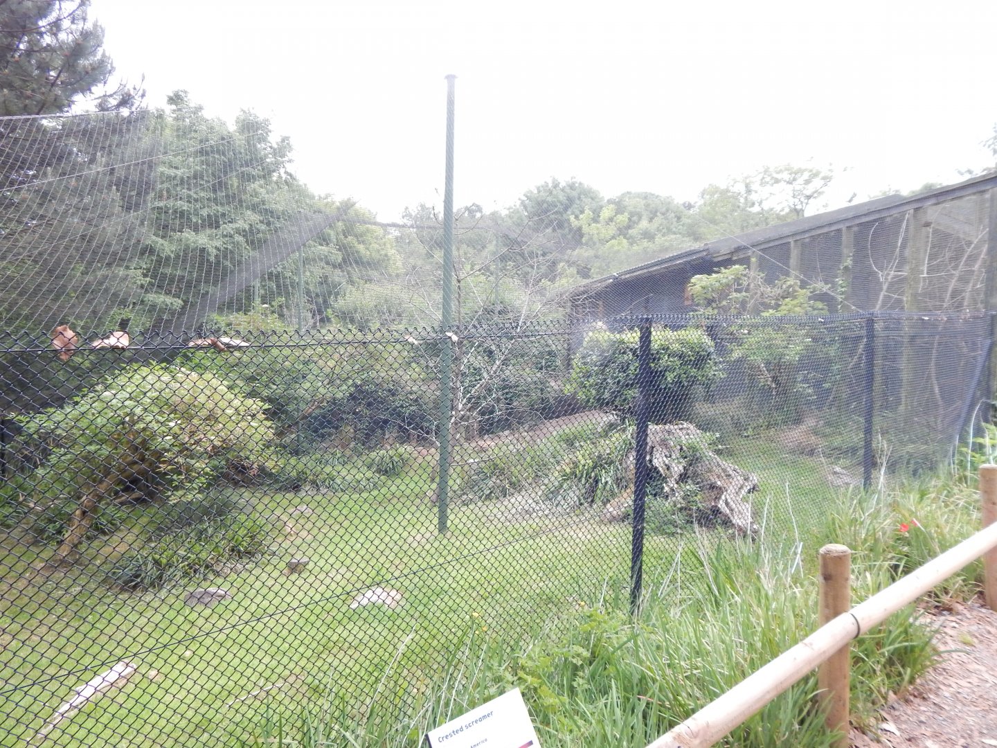 Mixed exhibit 130624